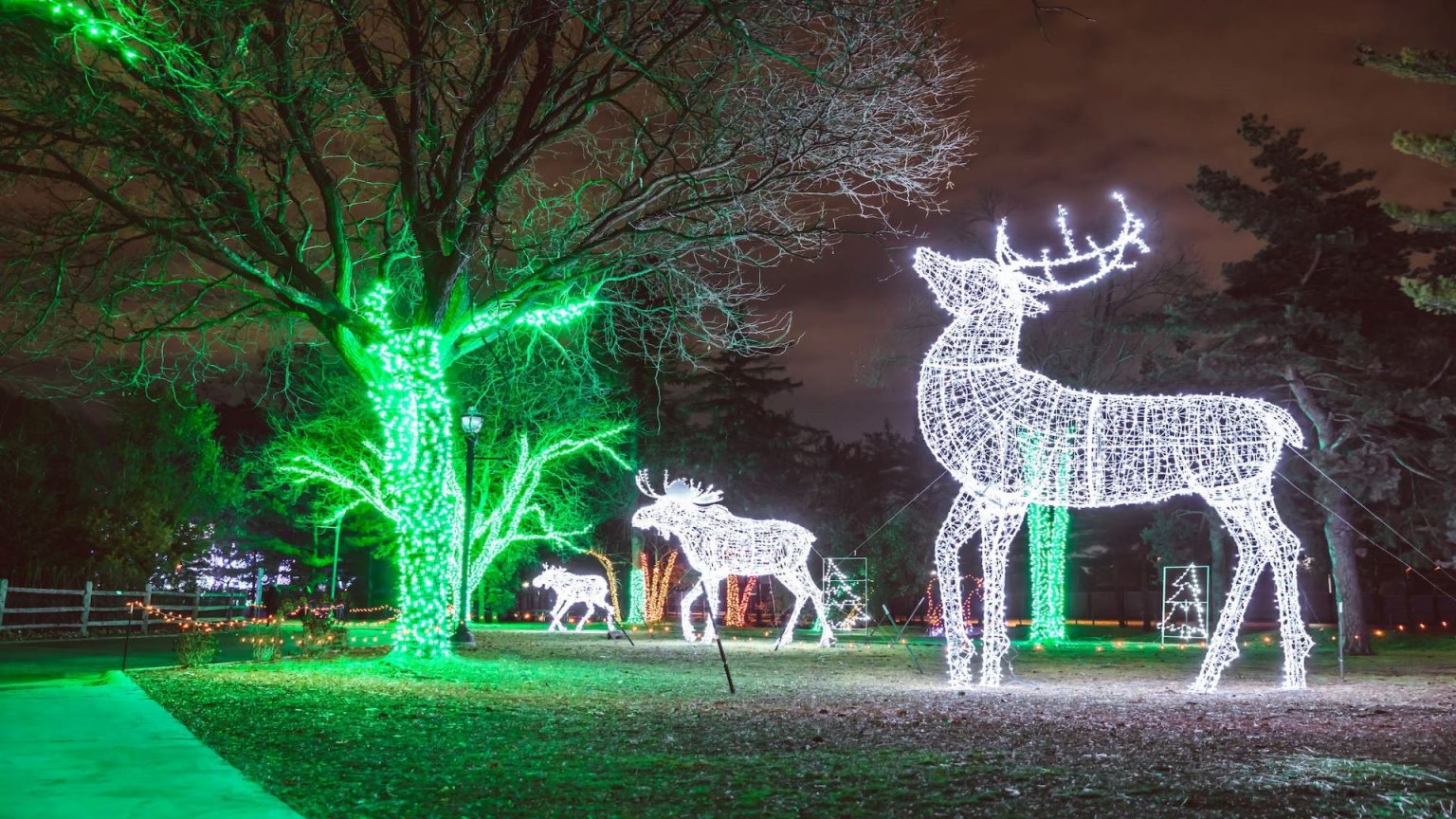 Wild Lights at the Detroit Zoo Detroit On Tap